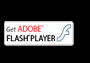 Download Adobe Flash Player